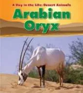 A Desert Animals Pack A of 4