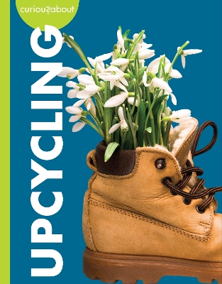 Curious about Upcycling