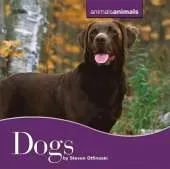 Dogs