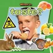 What is Taste?