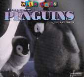 Emperor Penguins