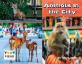 Animals In the City