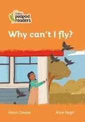 Level 4 - Why can't I fly?