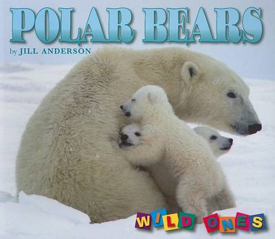 Polar Bears