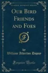 Our Bird Friends and Foes (Classic Reprint)