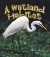 A Wetland Habitat