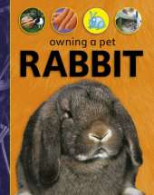 Owning A Pet: Rabbit