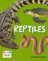 Reptiles