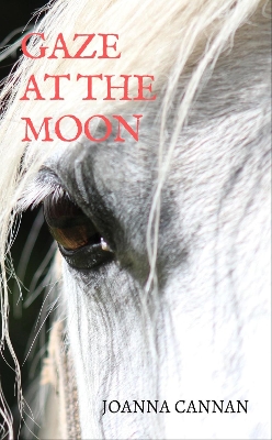 Gaze at the Moon