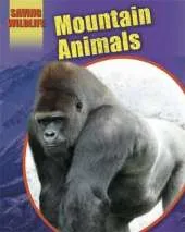 Mountain Animals