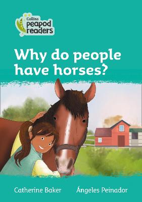 Level 3 - Why do people have horses?