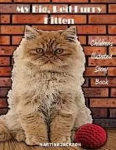 My Big, Red, Furry Kitten: Children's Illustrated Story Book