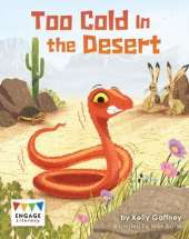 Too Cold in the Desert