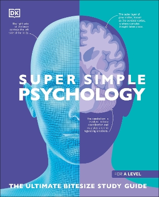 Super Simple Psychology: The Ultimate Bitesize Study Guide