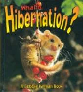 What is Hibernation?