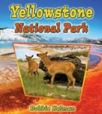 Yellowstone National Park