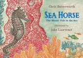 Seahorse: The Shyest Fish in the Sea