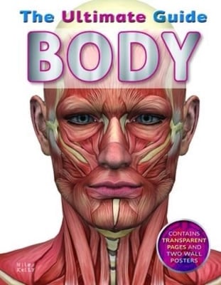 Body