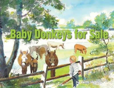 Baby Donkeys for Sale
