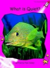 Red Rocket Readers: Emergent Non-Fiction Set A: What is Quiet? (Reading Level 1/F&P Level A)