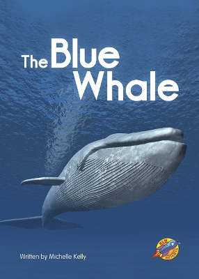 The Blue Whale