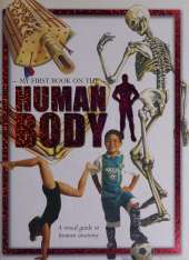 Human Body