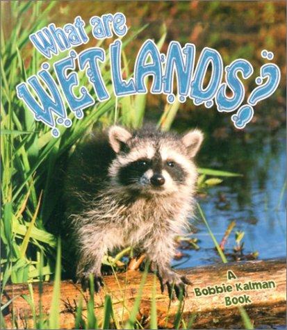 What are Wetlands?