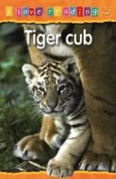 Tiger Cub: Orange Reading Level