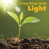 Living Things Need Light