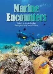 Marine Encounters