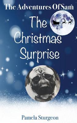 The Adventures of Sam - The Christmas Surprise