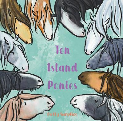 Ten Island Ponies: Spend the day with ten island ponies having lots of fun.