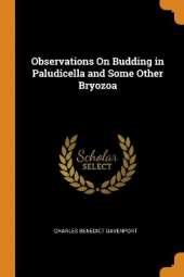 Observations On Budding in Paludicella and Some Other Bryozoa