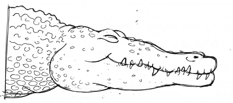Molly Mischief crocodile sketch