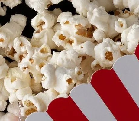 Books into Movies You Can Find on Netflix